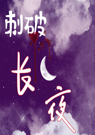 刺破长夜 小说